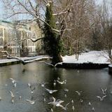 1002S 05 Fruehstueck Petit Galerie